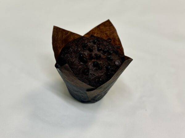 Chocolate Muffin